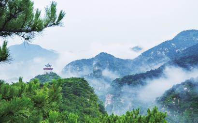 春雨直播app